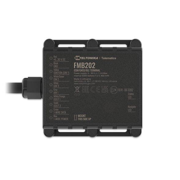 Teltonika FMB202